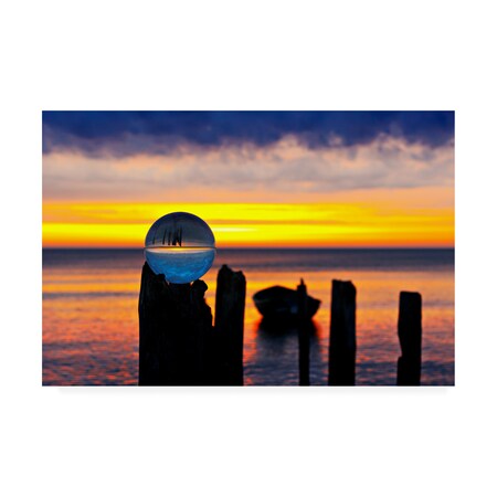 Trademark Fine Art Harry Bunger 'Stray Bullet' Canvas Art, 30x47